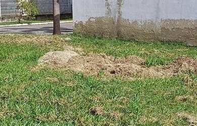 Imagem 14: Terreno de 414 m2 à venda na Ilha de Guaratiba - Rio de Janeiro - RJ