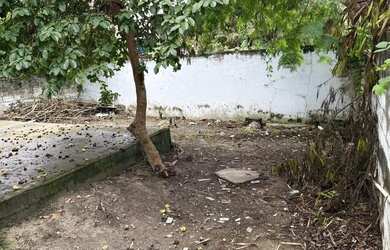 Imagem 16: Ponto comercial/Loja/Box para aluguel tem 240 metros quadrados