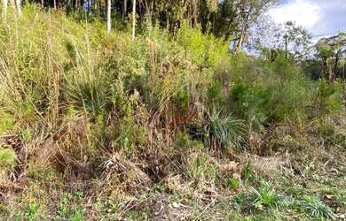 Imagem 4: Terreno à Venda em Canela