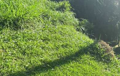 Imagem 16: Terreno à venda em Campinas, Jardim Atibaia Sousas , com 700 m², Jardim...