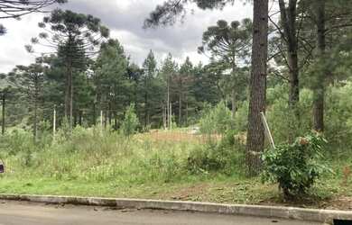 Imagem 2: Terreno - Bairro Dutra. 540m² de Área