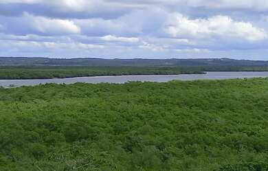 Imagem: O terreno possui 426m² de Área e está localizado em Centro