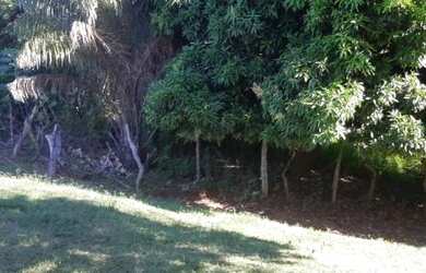 Imagem 7: Fazenda para Venda em Senador Mourão Diamantina , Diamantina