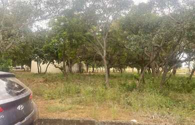 Imagem: O terreno está localizado em Plano Diretor Sul, Palmas à venda