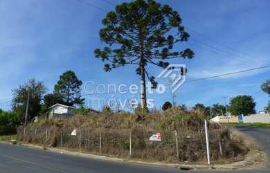 Imagem: O terreno está localizado em Ronda, Ponta Grossa à venda por
