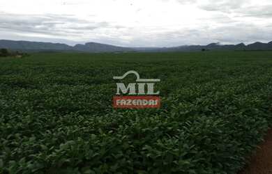 Imagem 3: Fazenda Produtiva Norte de Goiás. gt 390 Alq. 1.888 Há