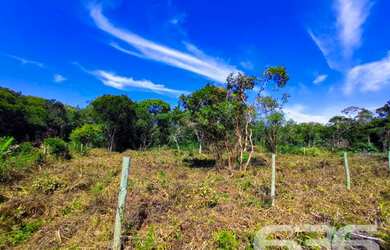 Imagem 12: Terreno | Balneário Barra do Sul