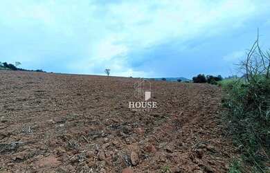 Imagem 4: Terreno à venda, 43000 m² por R$ 4.200.000,00 - Roseira - Mogi Guaçu/SP