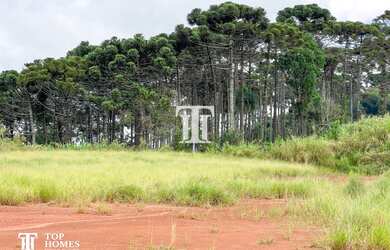 Imagem 14: Terreno no Trevo de Bragança Paulista - Rod Fernão Dias
