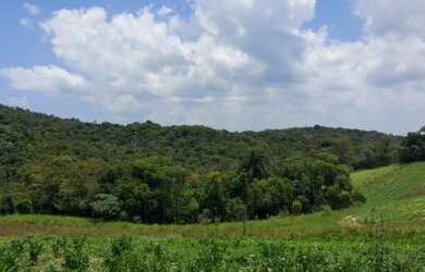Imagem 2: Lote/Terreno para venda com 600 metros quadrados em Centro São João...