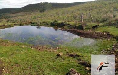 Imagem 8: Fazenda à venda, 1180000 m² por R$ 1.770.000 - Prado - Santana do Livramento/RS