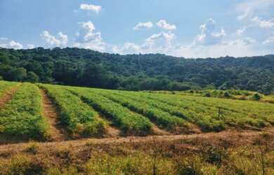 Imagem 9: Lote/Terreno para venda com 500 metros quadrados em Veloso - Osasco -...