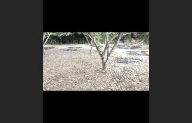 Imagem 2: Vendo ou troco lindo terreno