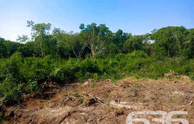 Imagem 11: Terreno | Balneário Barra do Sul