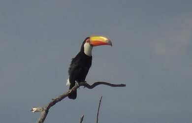 Imagem 14: TERRENO EM CONDOMÍNIO FECHADO