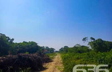 Imagem 7: Terreno | Balneário Barra do Sul