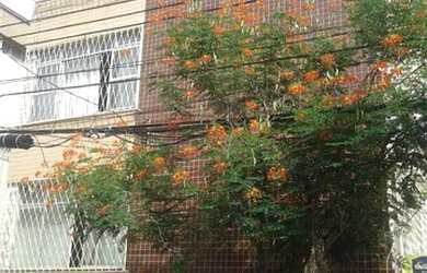 Imagem: O apartamento possui 3 Dormitórios, 3 Banheiros, 1 Vaga na