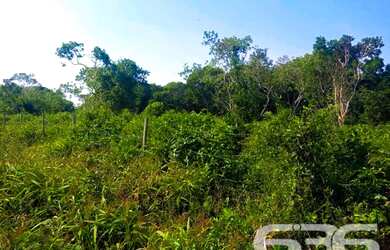 Imagem 10: Terreno | Balneário Barra do Sul