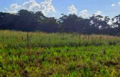 Imagem 12: Lote/Terreno para venda com 500 metros quadrados em Veloso - Osasco -...