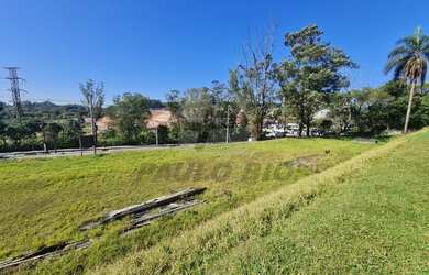 Imagem 12: SAO PAULO - Terreno Padrão - Colônia (Zona Leste