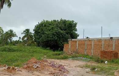 Imagem 9: 3 lotes a 300 metros da Praia do Toque em Sao Miguel dos Milagres
