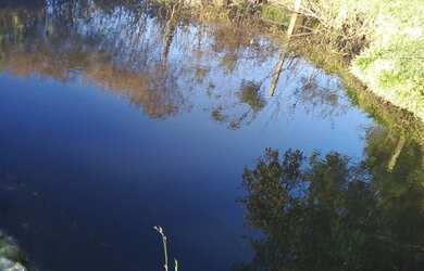 Imagem 3: Vendo chacara. 10m² de Área