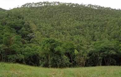 Imagem 8: Terrenos em Piracaia de 1000m²