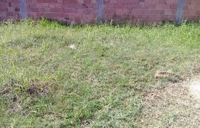 Imagem: O terreno está localizado em Guaratiba, Rio de Janeiro à venda