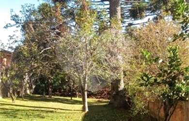 Imagem: O terreno possui 830m² de Área e está localizado em Boa