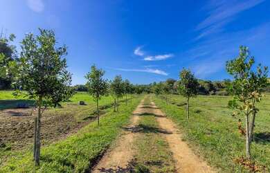 Imagem: A fazenda possui Imóvel novo e está localizado em Jacupiranga