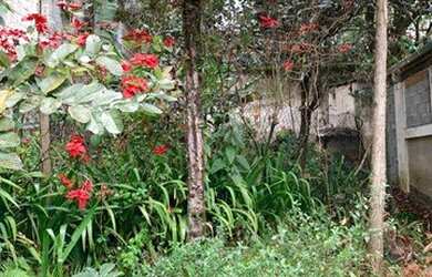 Imagem 5: Terreno à venda, 336 m² por R$ 530.000 - Ferreira - São Paulo/SP