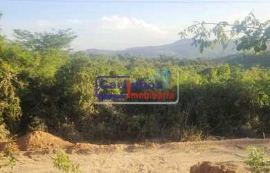 Imagem 2: VOCÊ E UM CAMPO INTEIRO DE POSSIBILIDADES - Fazendinhas 20.000 m² em...