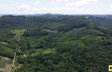 Imagem 8: Sítio / Chácara para Venda em Nova Petrópolis, Linha Olinda, 2 dormitórios,...