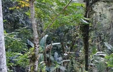 Imagem 8: 10 mil mts nas montanhas com lago 167 mil reais