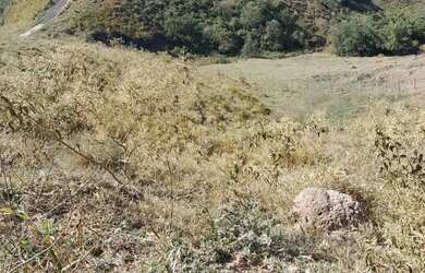 Imagem 15: Vende se um terreno no pouso alegre