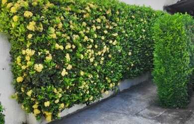 Imagem 11: VISITA VANIA 9 4 7 - 9 3 - 5 5 - 2 8 SOBRADO CONDOMINIO FECHADO CONDUÇÃO...