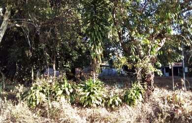 Imagem 4: Lote. 482m² de Área