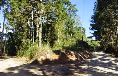 Imagem: A fazenda possui 2.594m² de Área e está localizado em Centro