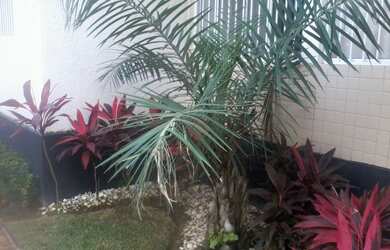 Imagem 2: Apartamento 2/4 com infraestrutura Jardim das Margaridas