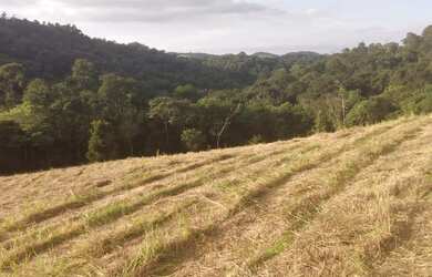Imagem: O terreno possui 1.000m² de Área e está localizado em Jardim