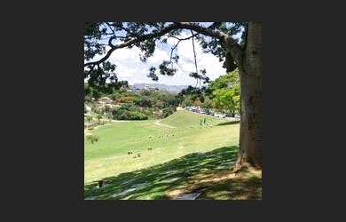 Imagem 6: Vendo jazigo Bosque da Esperança, local muito bonito, arborizado e ao lado do lago