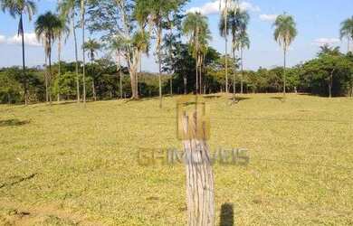 Imagem 7: Fazenda com 1 dormitório à venda, 4010000 m² por R$ 8.000.000,00 -...