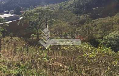 Imagem 5: Terreno no cascatinha. 