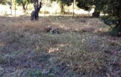 Imagem 2: Lote. 482m² de Área