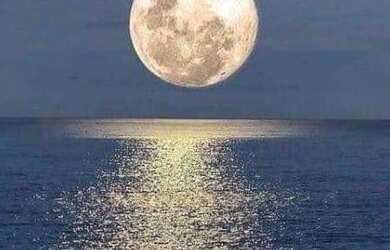 Imagem 7: Lote/Terreno para venda com 560 metros quadrados em Taíba - São Gonçalo...