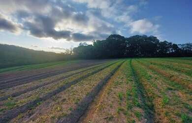 Imagem 6: Lote/Terreno para venda com 600 metros quadrados em Jardim Lavapes das Graças - Cotia - SP