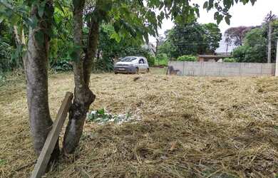 Imagem 6: Lote/Terreno para venda com 330 metros quadrados em Jardim Paulista -...