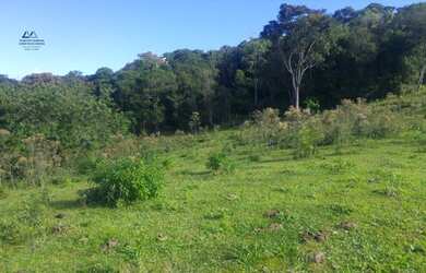 Imagem 5: Área Rural para Venda em Colônia Santana São José-SC - 352
