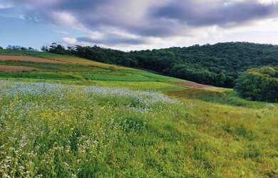 Imagem 7: Lote/Terreno para venda com 600 metros quadrados em Jardim Lavapes das Graças - Cotia - SP