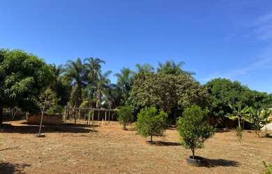 Imagem 15: Vendo lindo sítio em Iranduba